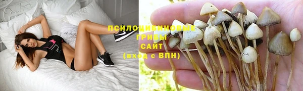 кокаин колумбия Алзамай