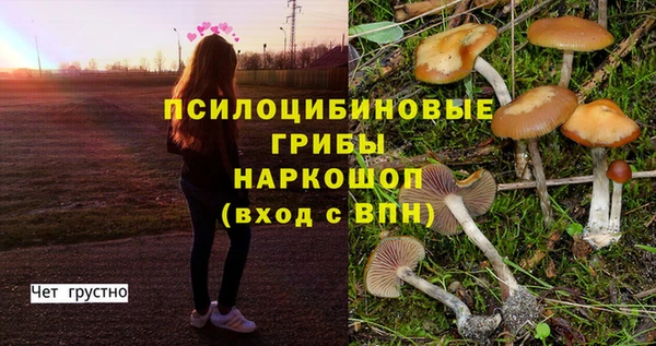 МДМА Алексин