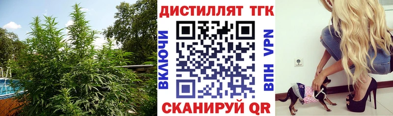 Дистиллят ТГК THC oil  наркота  Карпинск 
