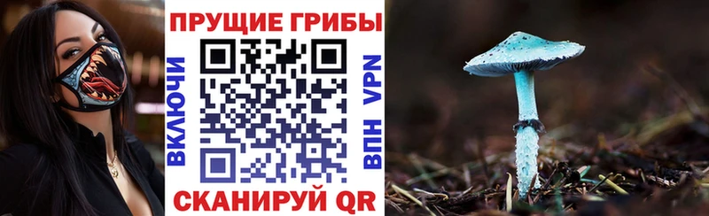 Галлюциногенные грибы мицелий ОМГ ОМГ ССЫЛКА Карпинск магазин продажи