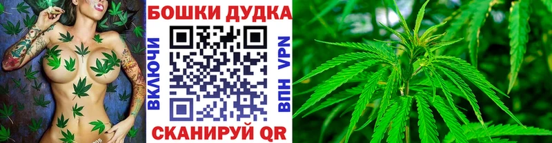 гидра ТОР  Карпинск  Бошки Шишки план 